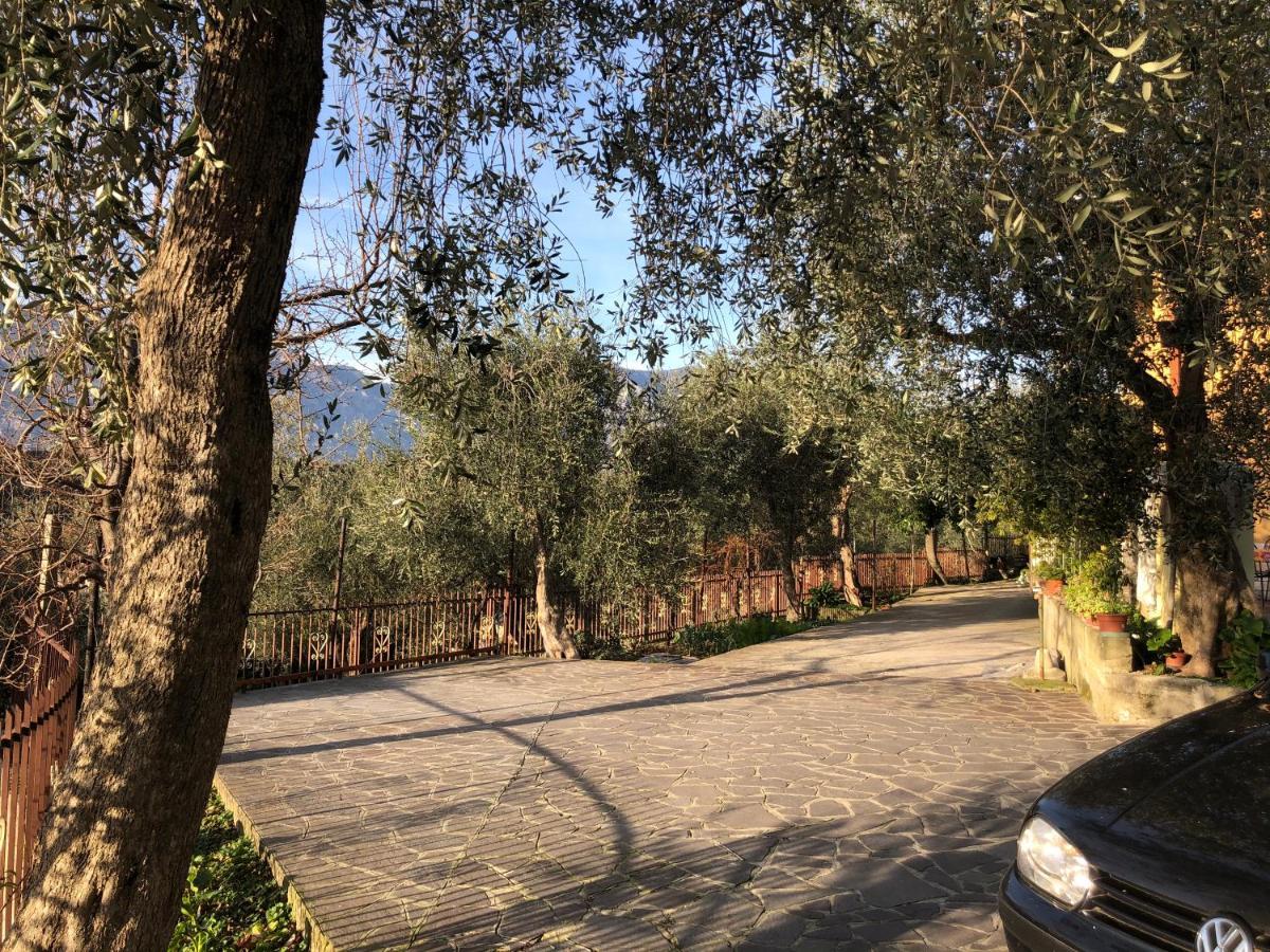 Appartamento Nonna Rosa Malcesine Eksteriør bilde